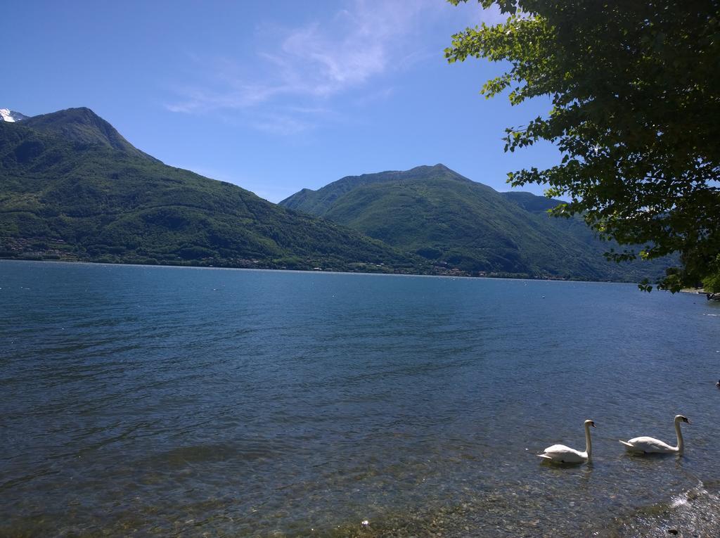 Venanzio! Leilighet Pianello Del Lario Eksteriør bilde